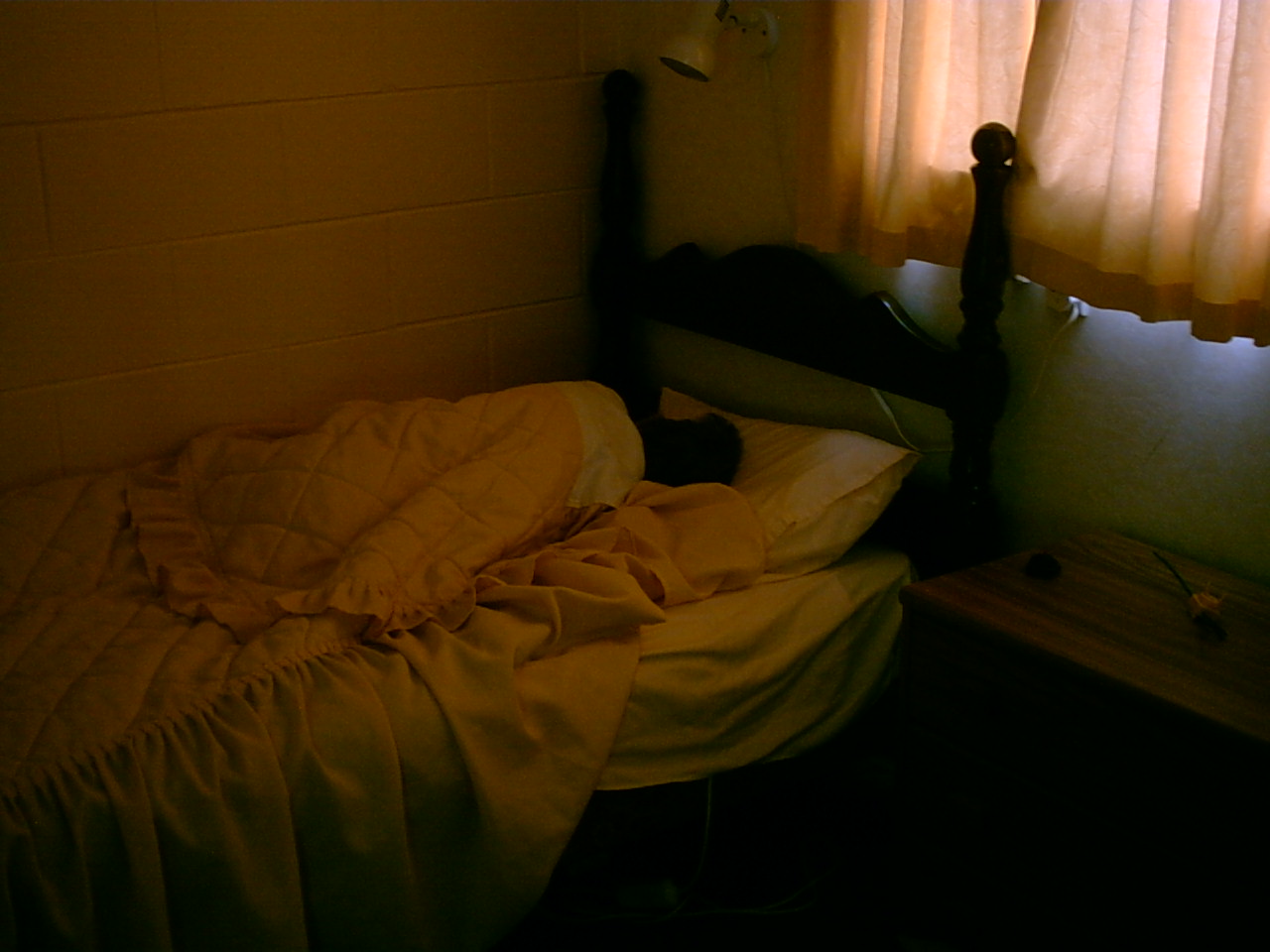 Kiesanowski and Kerdemelidis wedding trip/1_Motel/IMG00005.JPG